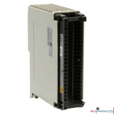 AEG DEP-210 8-point 115 VAC Isolated Discrete Input AEG DEP-210